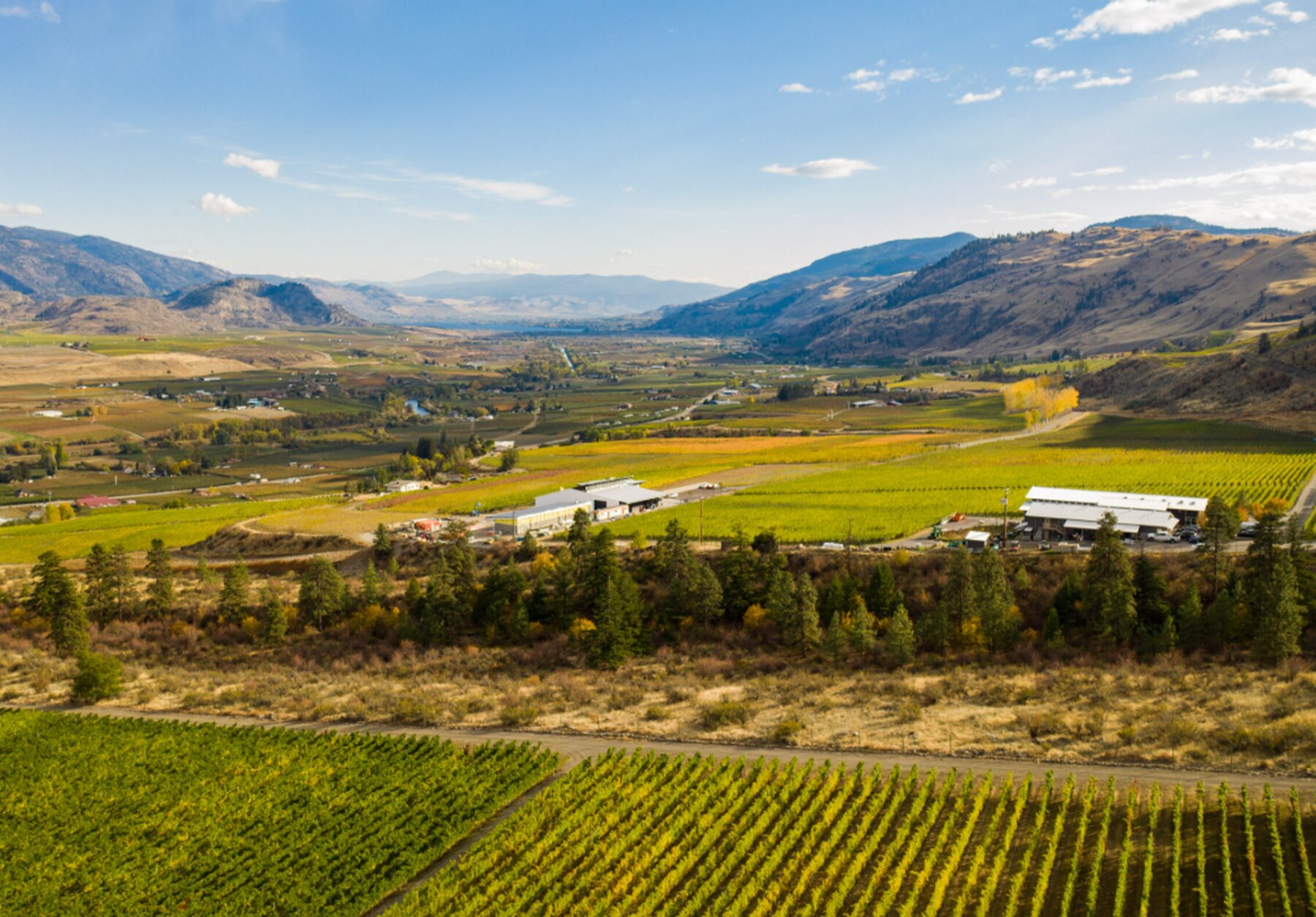 Aerial view of vineyards and the Fraser Valley valley around Chilliwack, BC